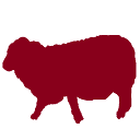 auvegard.no logo