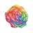 aux-emotions-fleuries.fr logo