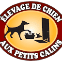aux-petits-calins.ca logo