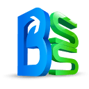 b-ss.es logo