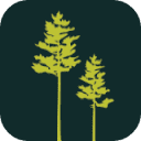 balticwoodtrade.lv logo