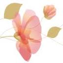 benedensas.nl logo