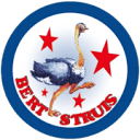 bertstruis.nl logo