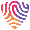 bigid.com logo
