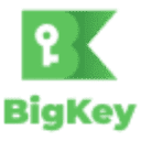 bigkey.com.br logo