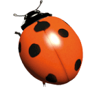 bijcarlijn.nl logo