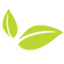biocom-international.ro logo