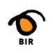 bir.no logo