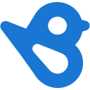 birdeye.com logo