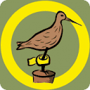 birdring.nl logo
