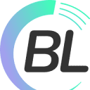blingenieria.com.ar logo