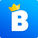 blingfi.com logo