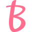 blink.nl logo