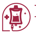 bloodtrans.in logo