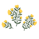 bloombookkeeping.co logo