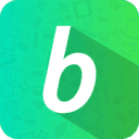 blossomic.de logo