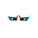bluearmy.co.in logo