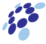 bluechipsolutions.in logo