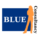 blueconsultancy.nl logo