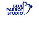 blueparrotstudio.in logo