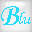 bluespider.nl logo