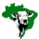 boiadabrasil.com.br logo