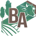 bosagro.com.br logo