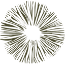 botanicalshaman.lv logo