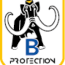 bprotection.fr logo