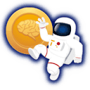 brainexplorer.net logo
