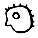 briic.lv logo