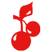 brusters.com logo