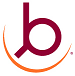 bruttin.com.br logo