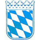 bsvk.info logo