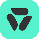 bsvpay.com.br logo