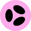 buenbit.com logo