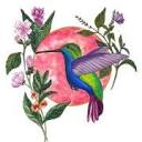 bulledart38.fr logo