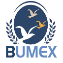 bumex.mr logo