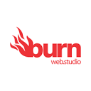 burnweb.com.br logo