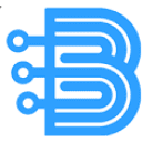 bvpn.info logo