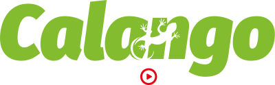 calangovideos.com.br logo