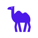 camel-ai.org logo