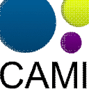 cami-challenge.org logo