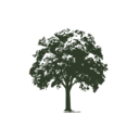 candido.com.ar logo