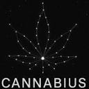 cannabi.us logo