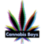 cannabis-boys.pl logo