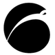 capabilities.us logo