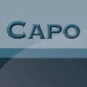 capo.systems logo
