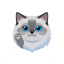 cason.nl logo