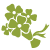 cityflowers.in logo